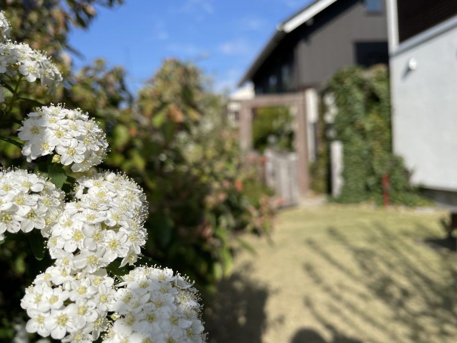 ゴールデンウィーク休業のお知らせ