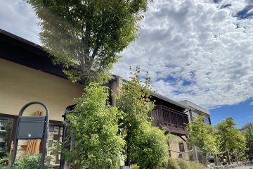 夏季休業のお知らせ