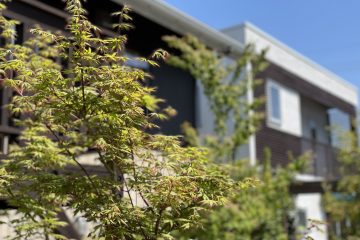 ゴールデンウィーク休業のおしらせ